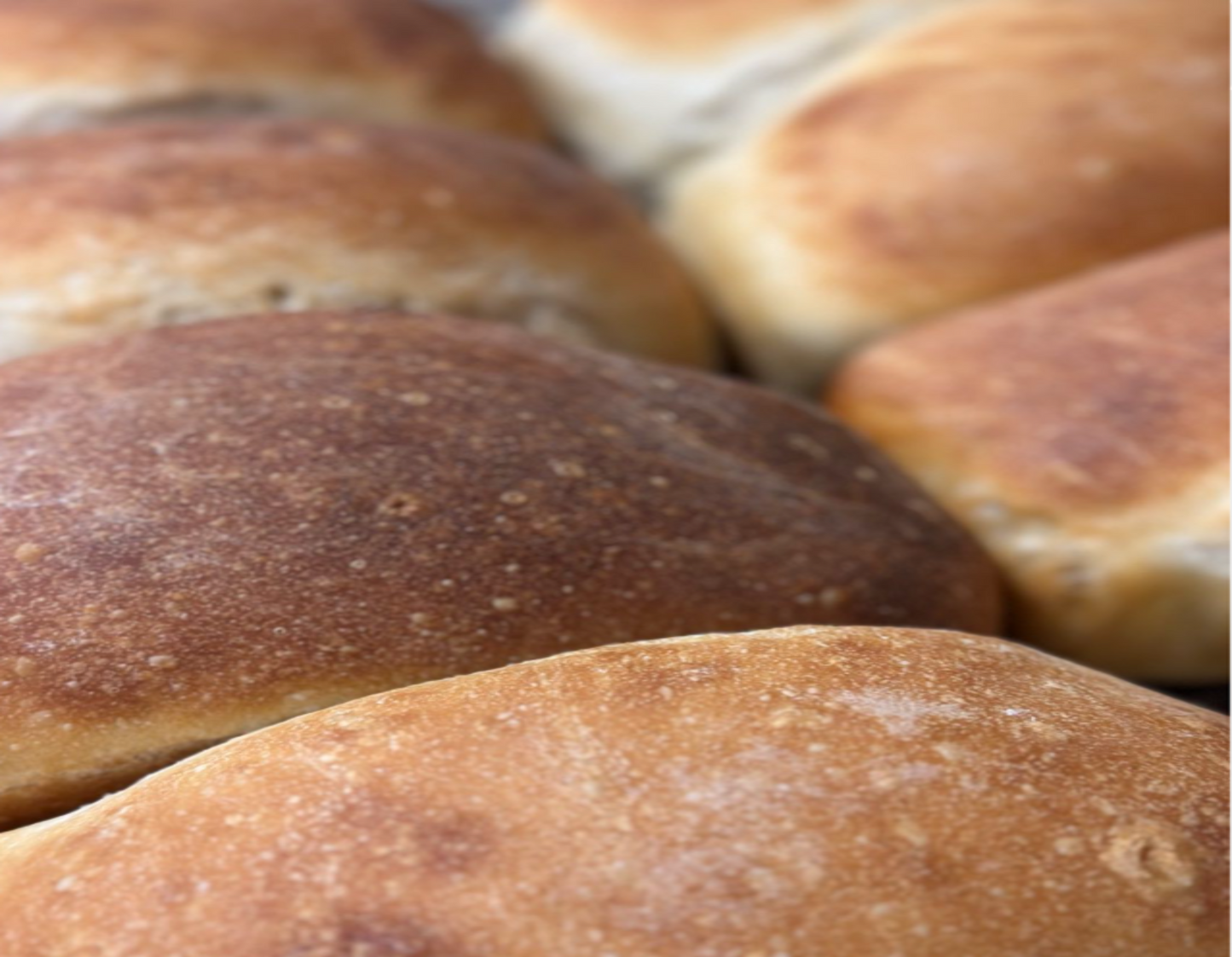 Close-up of freshly baked bread rolls with a rustic appearance.