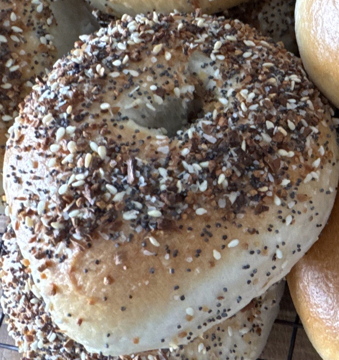 Bagels - 1/2 Dozen